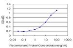 JTB Antibody in ELISA (ELISA)