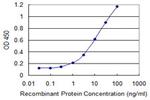 SDS Antibody in ELISA (ELISA)