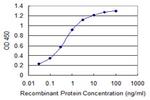 WWP1 Antibody in ELISA (ELISA)