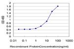 STMN2 Antibody in ELISA (ELISA)