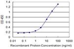 WDR5 Antibody in ELISA (ELISA)