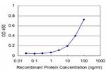 NUDT4 Antibody in ELISA (ELISA)