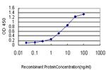 IRAK3 Antibody in ELISA (ELISA)