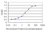 AKAP13 Antibody in ELISA (ELISA)