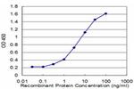 CHP Antibody in ELISA (ELISA)