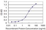 NLGN1 Antibody in ELISA (ELISA)