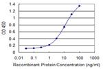 NCBP2 Antibody in ELISA (ELISA)