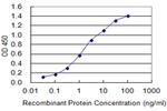 MYT1L Antibody in ELISA (ELISA)