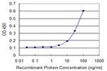 TXNDC4 Antibody in ELISA (ELISA)