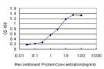 ANKRD15 Antibody in ELISA (ELISA)