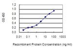 MED13L Antibody in ELISA (ELISA)