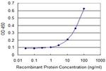 SIRT4 Antibody in ELISA (ELISA)