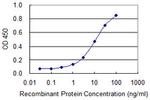 TARDBP Antibody in ELISA (ELISA)