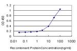 SLC44A1 Antibody in ELISA (ELISA)