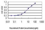 RBM9 Antibody in ELISA (ELISA)