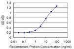 CHST5 Antibody in ELISA (ELISA)