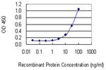 AMACR Antibody in ELISA (ELISA)