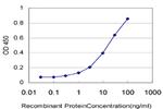 NUP62 Antibody in ELISA (ELISA)