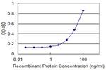 TTLL1 Antibody in ELISA (ELISA)