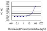 FBXO5 Antibody in ELISA (ELISA)