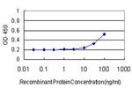 HAVCR1 Antibody in ELISA (ELISA)