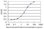 ZRF1 Antibody in ELISA (ELISA)