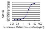 FOXP1 Antibody in ELISA (ELISA)