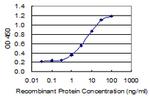 BBC3 Antibody in ELISA (ELISA)