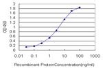 UBE2S Antibody in ELISA (ELISA)