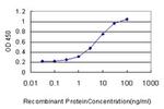 RACGAP1 Antibody in ELISA (ELISA)