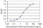 PSAT1 Antibody in ELISA (ELISA)