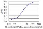 UBQLN1 Antibody in ELISA (ELISA)