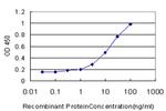 PIK3R4 Antibody in ELISA (ELISA)