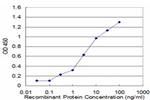 NEUROG3 Antibody in ELISA (ELISA)