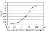 NEUROG3 Antibody in ELISA (ELISA)