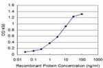 NEUROG3 Antibody in ELISA (ELISA)