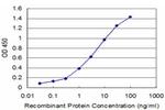 NEUROG3 Antibody in ELISA (ELISA)