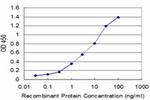 NEUROG3 Antibody in ELISA (ELISA)