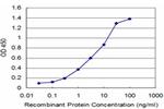 NEUROG3 Antibody in ELISA (ELISA)