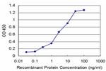 NEUROG3 Antibody in ELISA (ELISA)