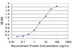 NEUROG3 Antibody in ELISA (ELISA)