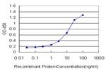 NSDHL Antibody in ELISA (ELISA)