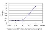 FIS1 Antibody in ELISA (ELISA)