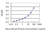 MLXIPL Antibody in ELISA (ELISA)