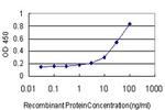 ABHD5 Antibody in ELISA (ELISA)