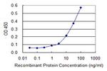 ABHD5 Antibody in ELISA (ELISA)