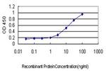 EGFL7 Antibody in ELISA (ELISA)