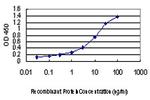 FLJ20643 Antibody in ELISA (ELISA)