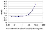 MARCH1 Antibody in ELISA (ELISA)