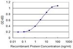 MAP1S Antibody in ELISA (ELISA)